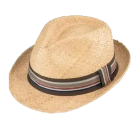 Fedora - Raffia/RI Natural